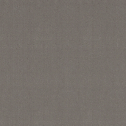 blackout roller shades