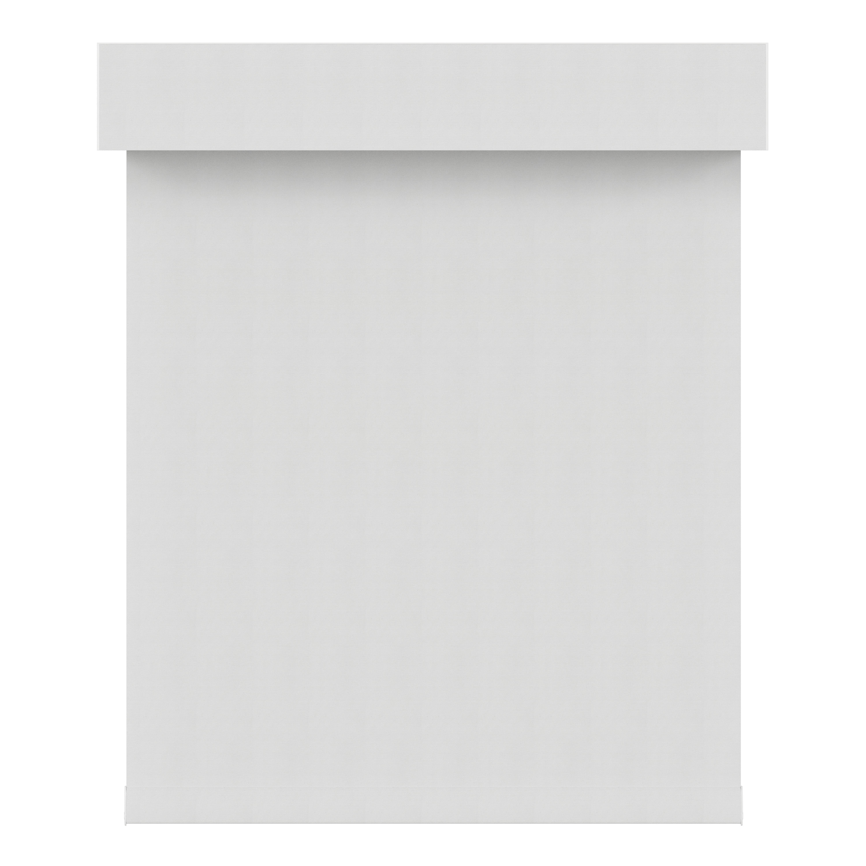 blackout roller shades