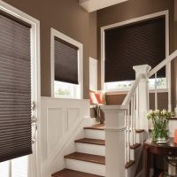 cellular shades
