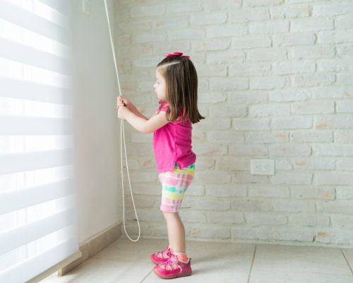 zebra blinds
