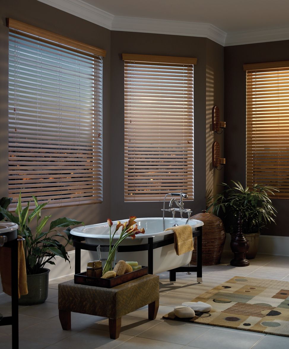 horizontal blinds