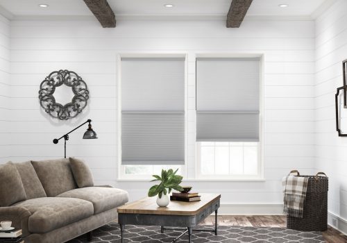day night cellular blinds