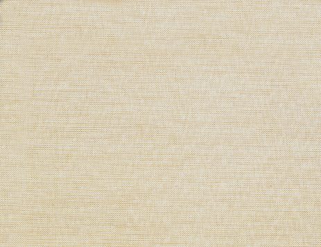 Sample SAVONA Oyster Sample SAVONA Oyster
