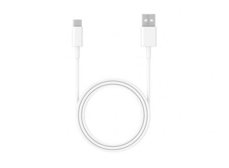 10 ft Motorized Wand Charging Cable
