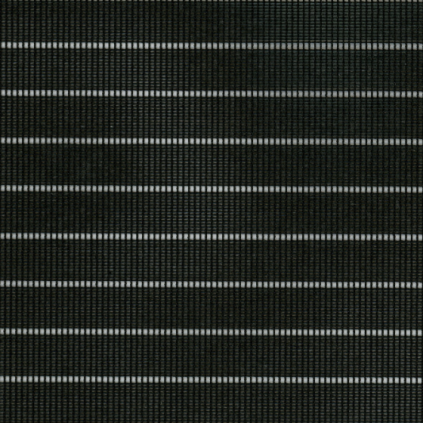 roller shade hosta black