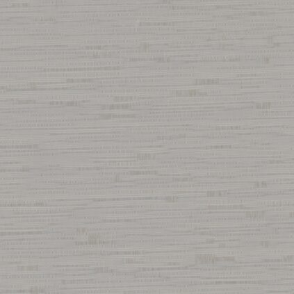 Latina silver grey