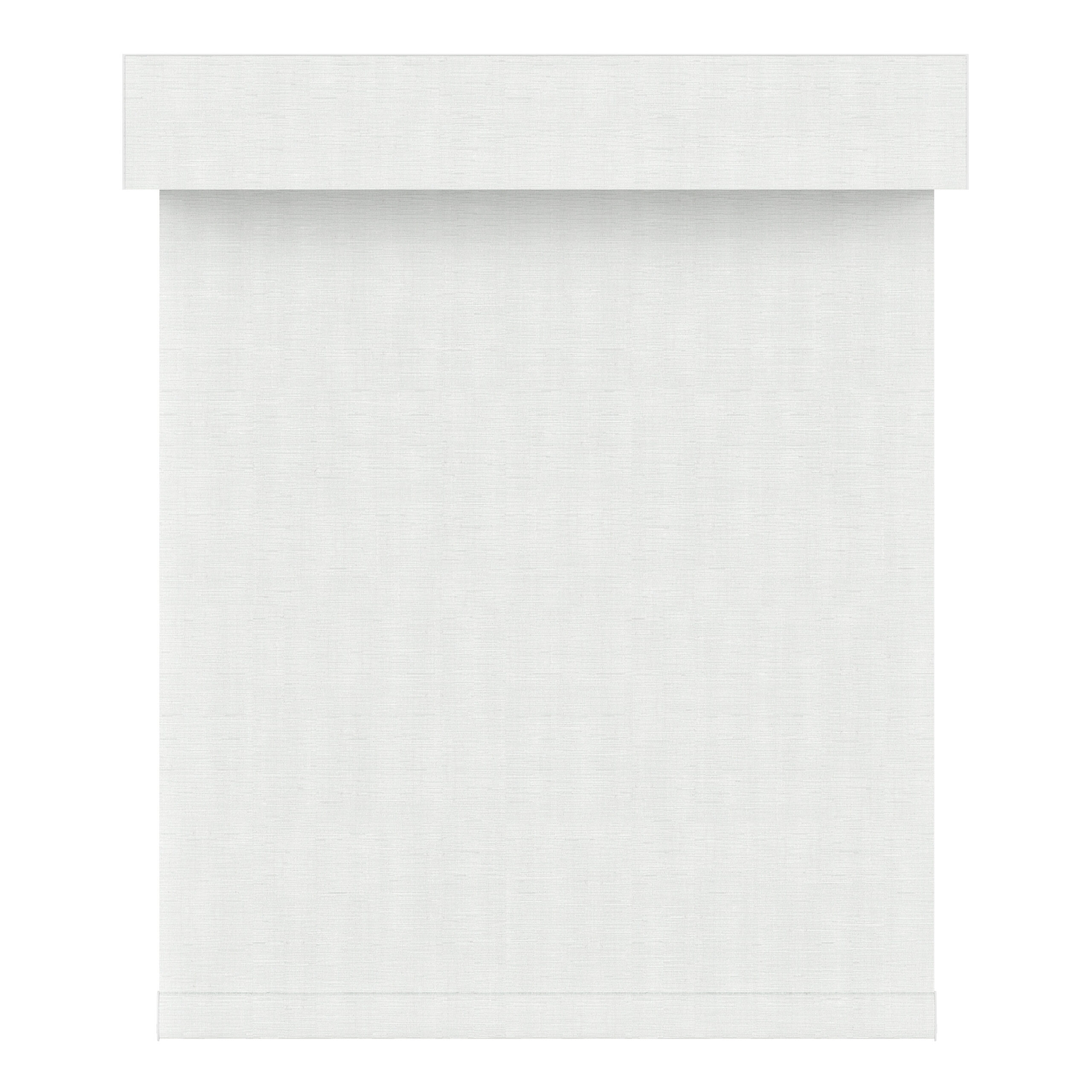 blackout roller shades