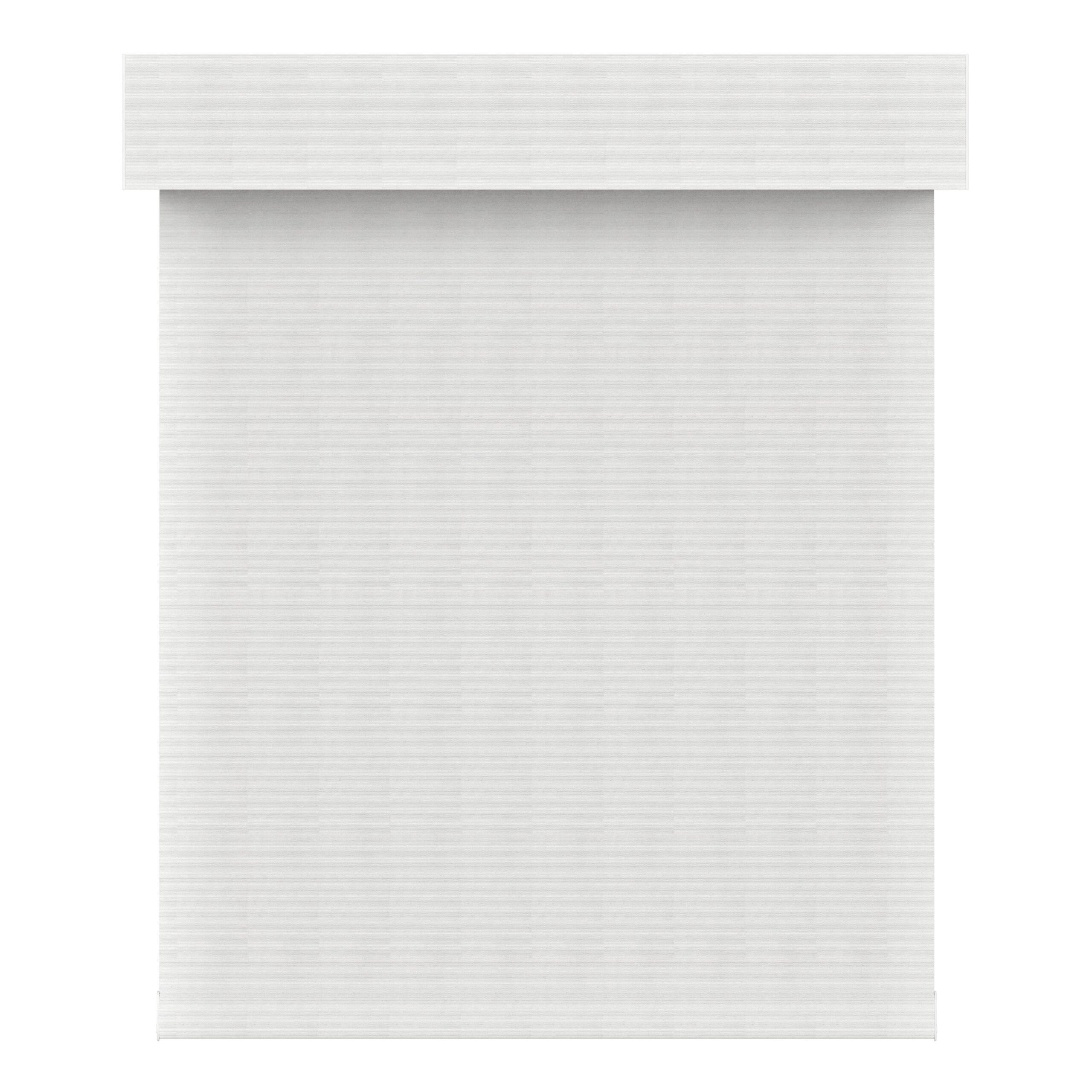 blackout roller shades