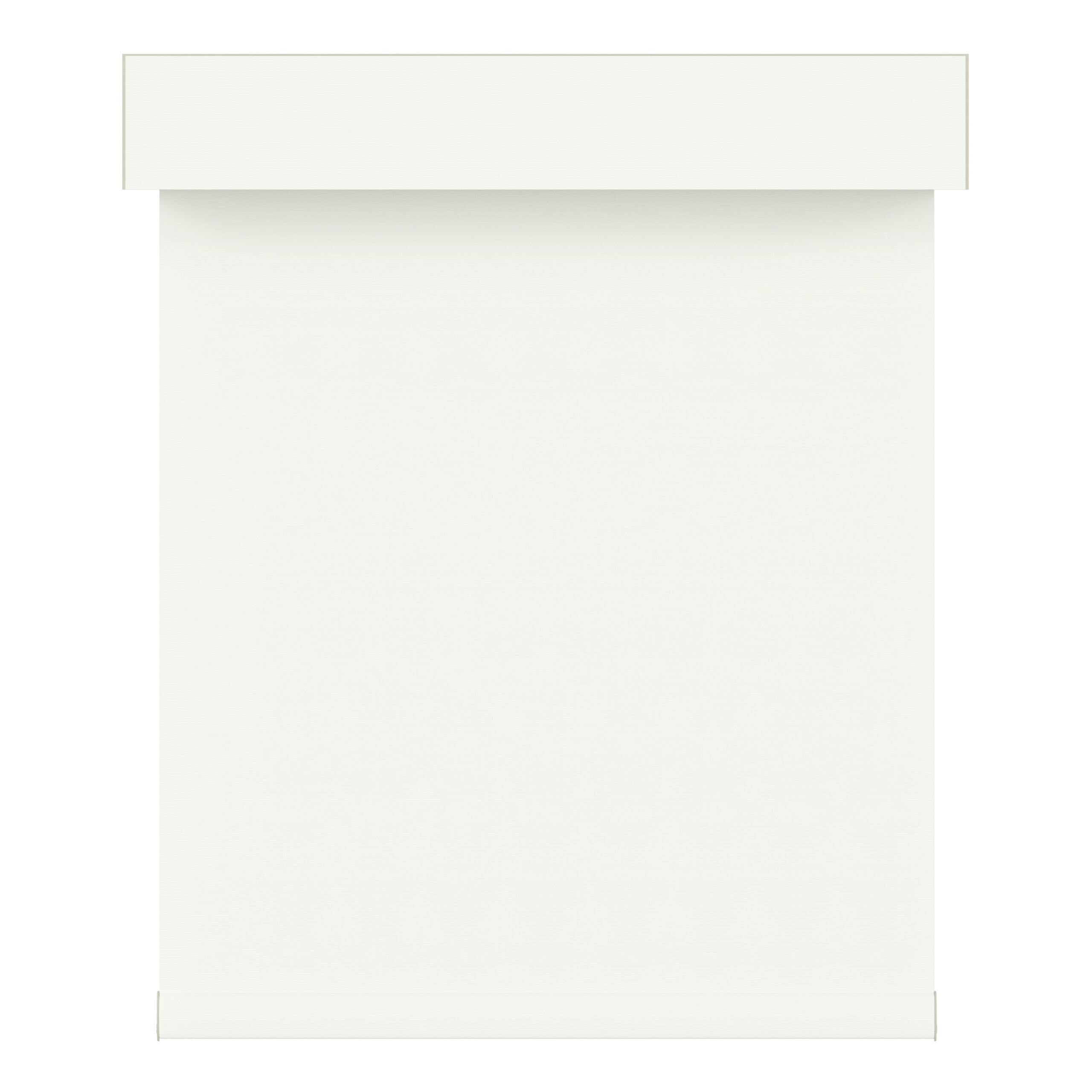 blackout roller shades