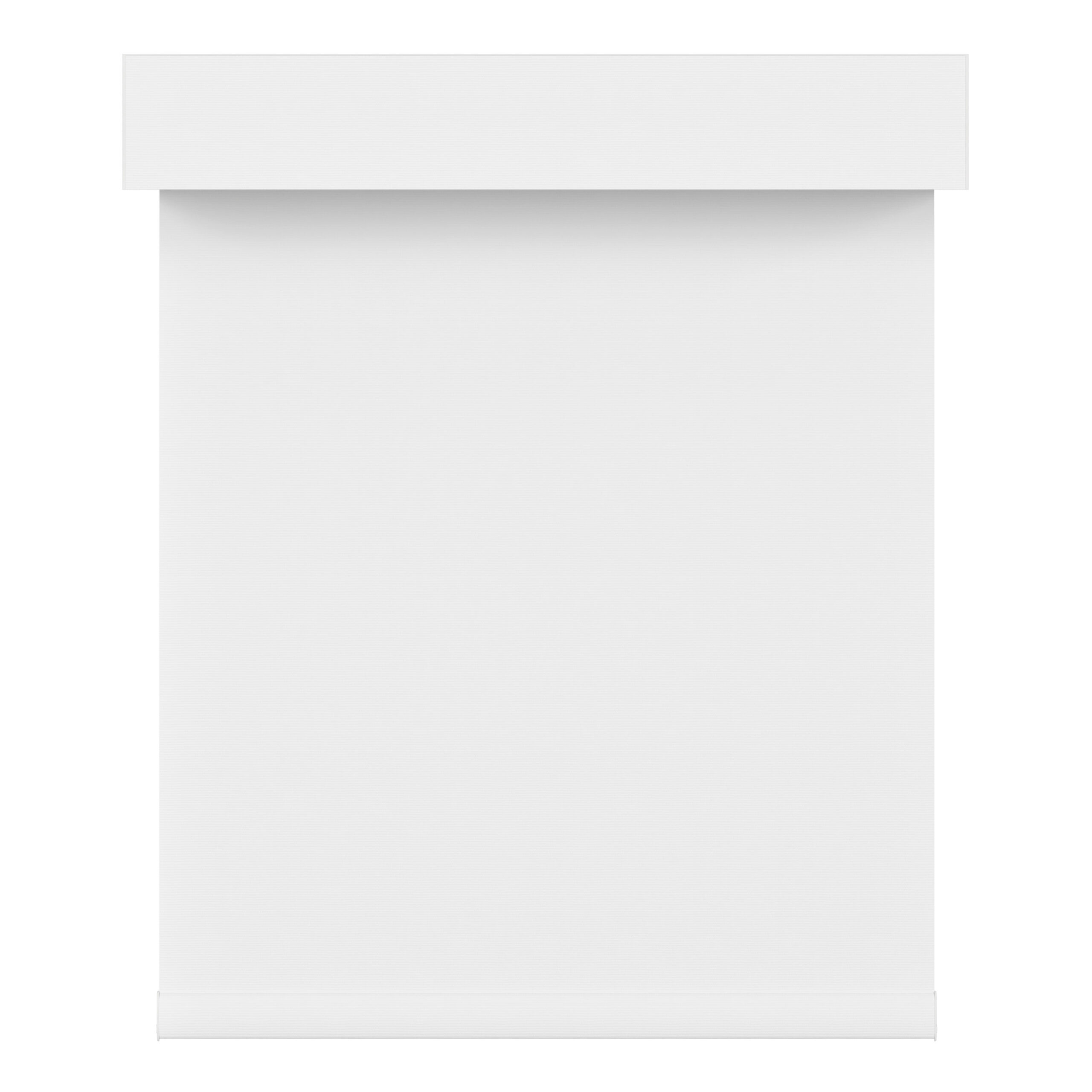 blackout roller shades